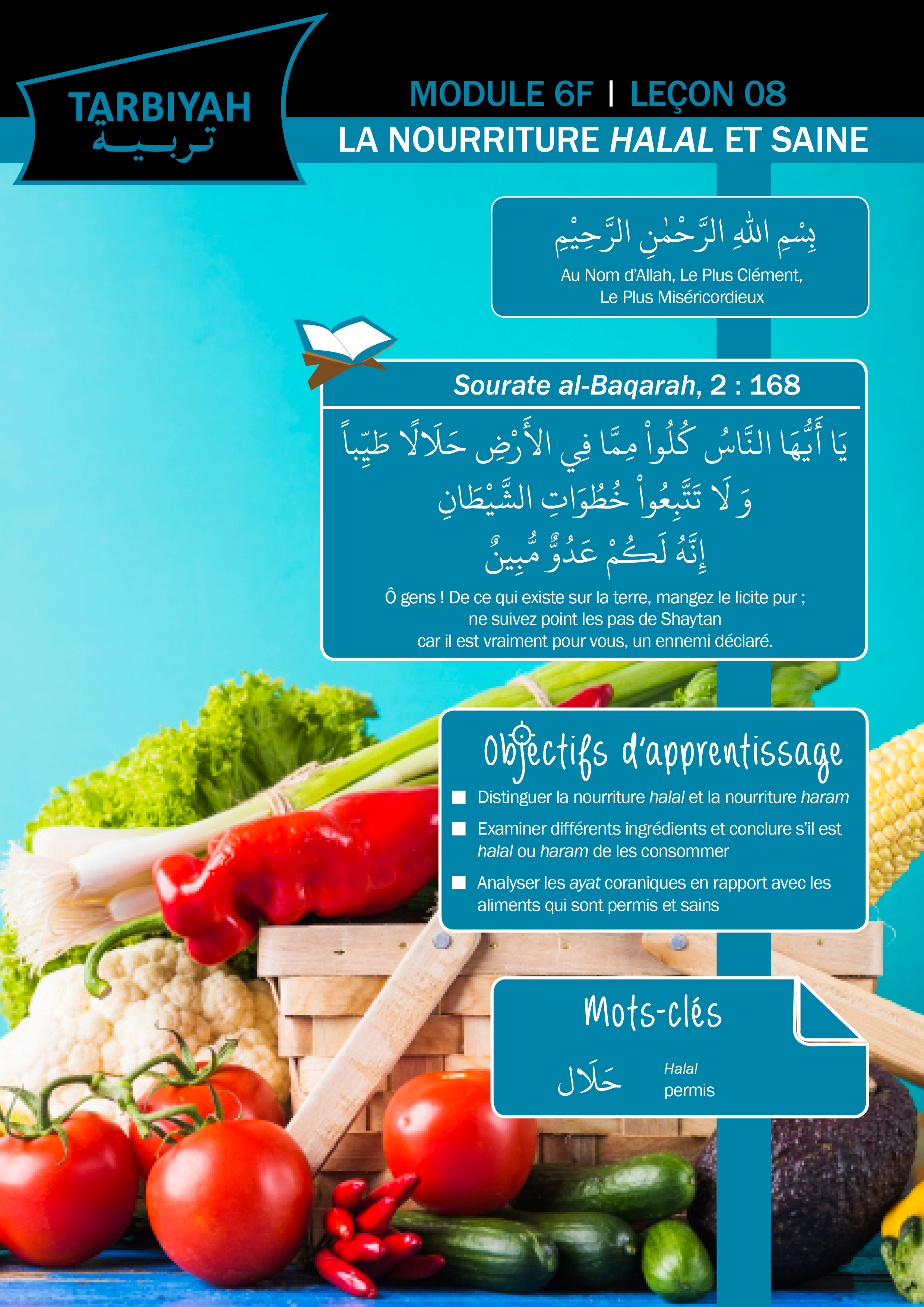 6F08 – La nourriture halal et saine